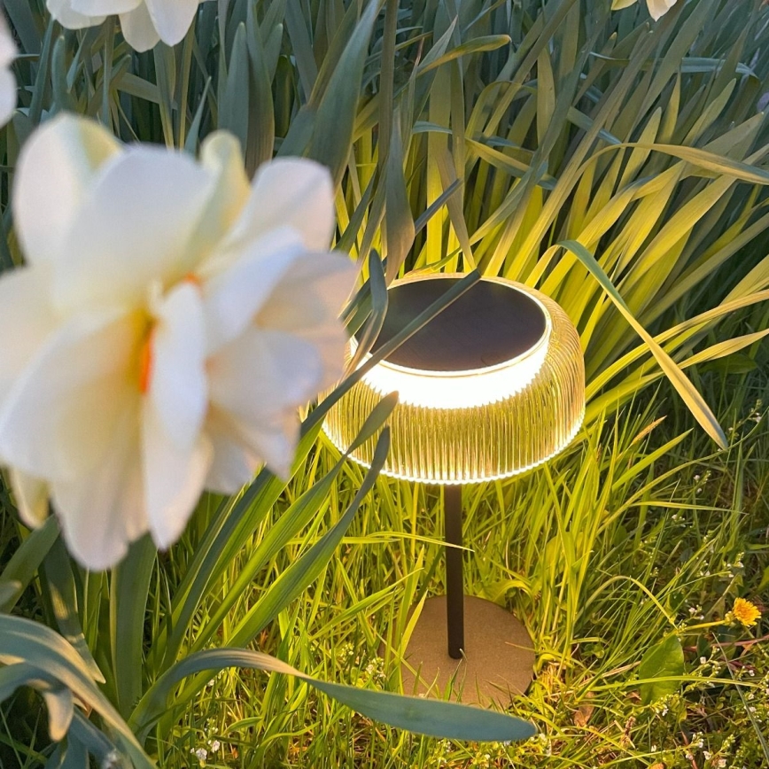 Zuma Line - LED Hämardatav päikesepaneeliga laetav laualamp LED/2,5W/2000 mAh IP44 must