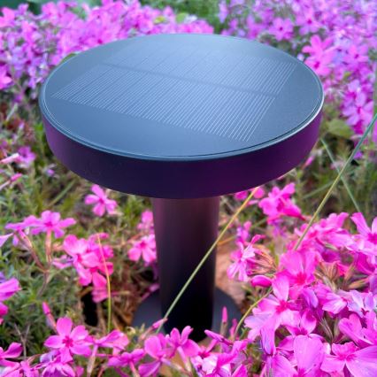 Zuma Line - LED Hämardatav päikesepaneeliga laetav laualamp LED/2W/2000 mAh IP44 must