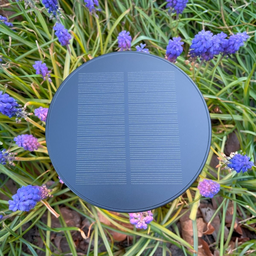 Zuma Line - LED Hämardatav päikesepaneeliga laetav laualamp LED/2W/2000 mAh IP44 must