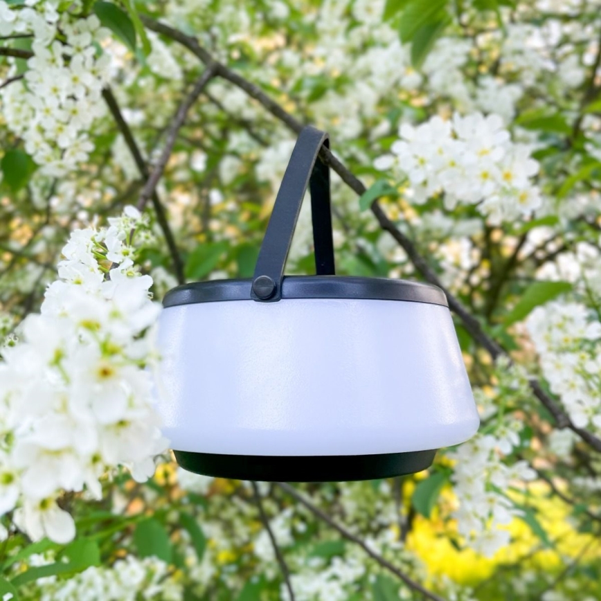 Zuma Line - LED Hämardatav päikesepaneeliga laetav laualamp LED/2,2W/2000 mAh IP44 must