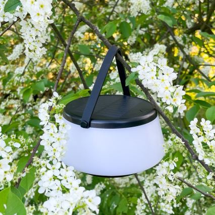 Zuma Line - LED Hämardatav päikesepaneeliga laetav laualamp LED/2,2W/2000 mAh IP44 must