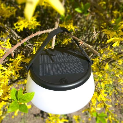 Zuma Line - LED Hämardatav päikesepaneeliga laetav laualamp LED/2,2W/2000 mAh IP44 must