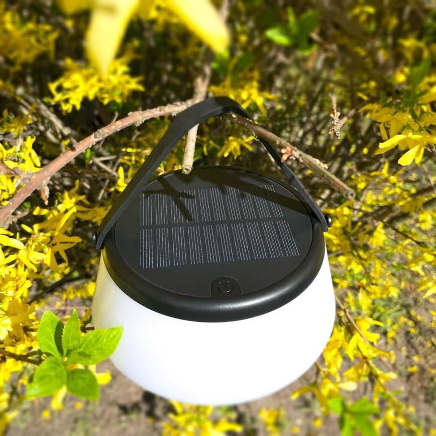 Zuma Line - LED Hämardatav päikesepaneeliga laetav laualamp LED/2,2W/2000 mAh IP44 must