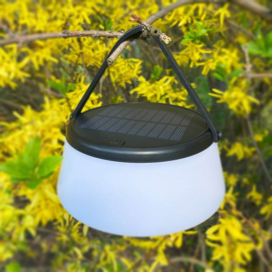 Zuma Line - LED Hämardatav päikesepaneeliga laetav laualamp LED/2,2W/2000 mAh IP44 must