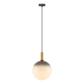 Zuma Line - Kaabliga rippvalgusti 1xE27/25W/230V läbimõõt 30 cm kuldne/must