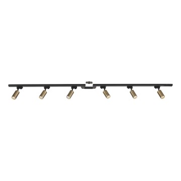 Zuma Line - Kohtvalgusti rööbassüsteemi 6xGU10/35W/230V must/kuldne