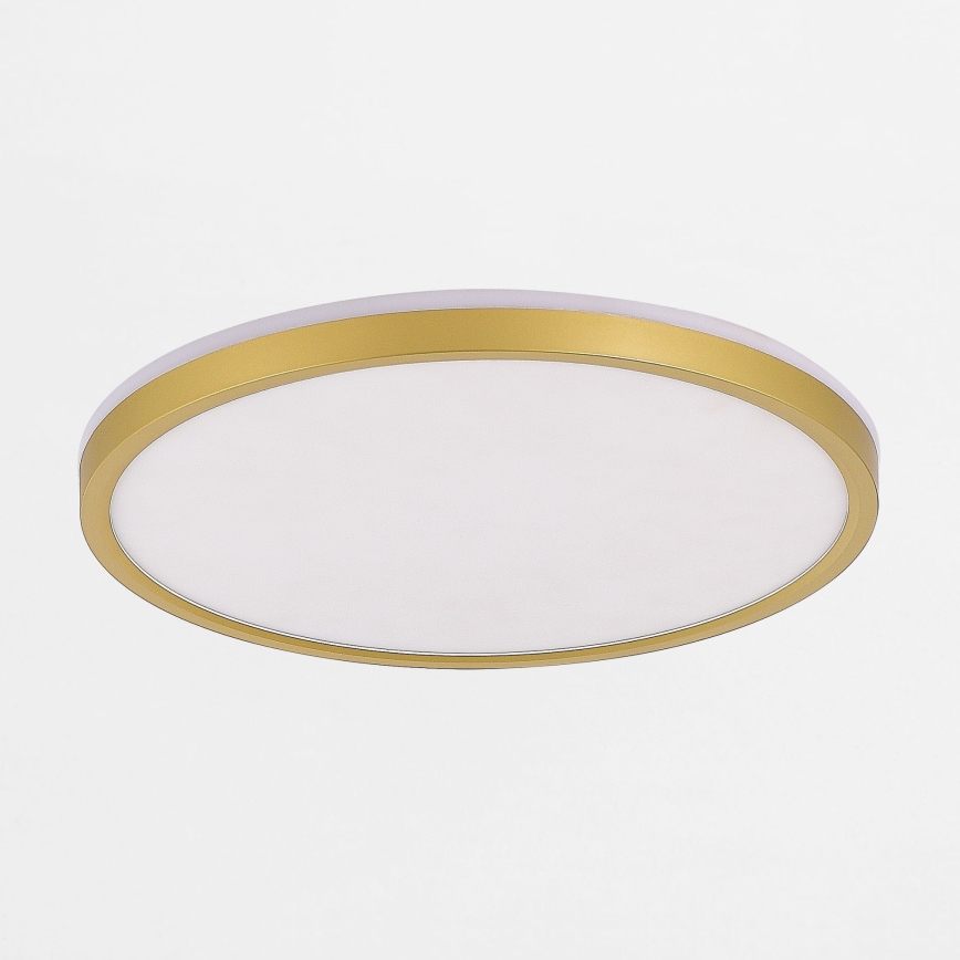Zuma Line - LED Hämardatav laevalgusti LED/38W/230V + LED/11W 3000/4000/5500K d. 50 cm kuldne