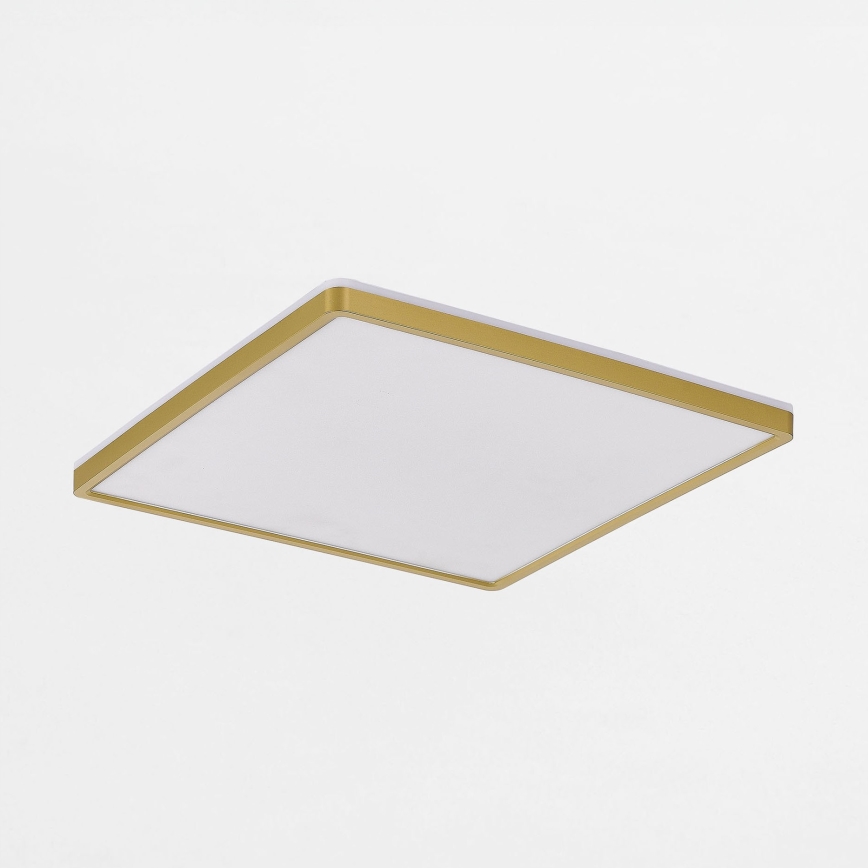 Zuma Line - LED Hämardatav laevalgusti LED/38W/230V + LED/12W 3000/4000/5500K 40x40 cm kuldne