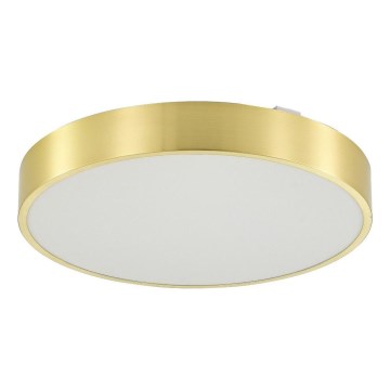 Zuma Line - LED Hämardatav laevalgusti vannituppa LED/36W/230V 3000-6000K d. 40 cm IP44 kuldne + kaugjuhtimispult