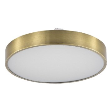 Zuma Line - LED Hämardatav laevalgusti vannituppa LED/50W/230V 3000-6000K d. 50 cm IP44 messing + kaugjuhtimispult