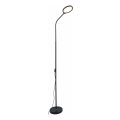 Zuma Line - LED Hämardatav põrandalamp LED/10W/230V 3000/4500/6500K must