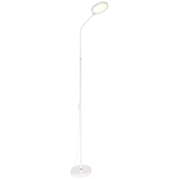 Zuma Line  - LED Hämardatav põrandalamp LED/10W/230V 3000/4500/6500K valge
