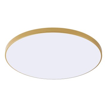 Zuma Line - LED laelamp VERI LED/32W/230V läbimõõt 37 cm kuldne