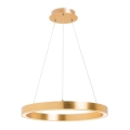 Zuma Line - LED-lühter kaablil, LED/40W/230V, Ø 50 cm, kuldne