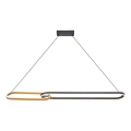 Zuma Line - LED-rippvalgusti riputuskaabliga 2xLED/40W/230V must/kuldne
