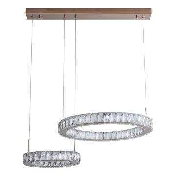 Zuma Line - LED-rippvalgusti trossil LED/36W/230V roosakuldne