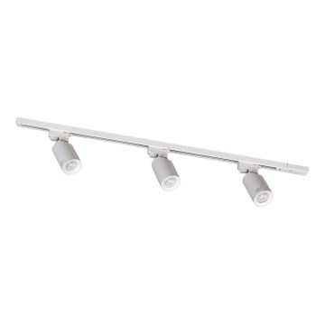 Zuma Line - liistusüsteemi punktvalgusti 3xGU10/35W/230V valge