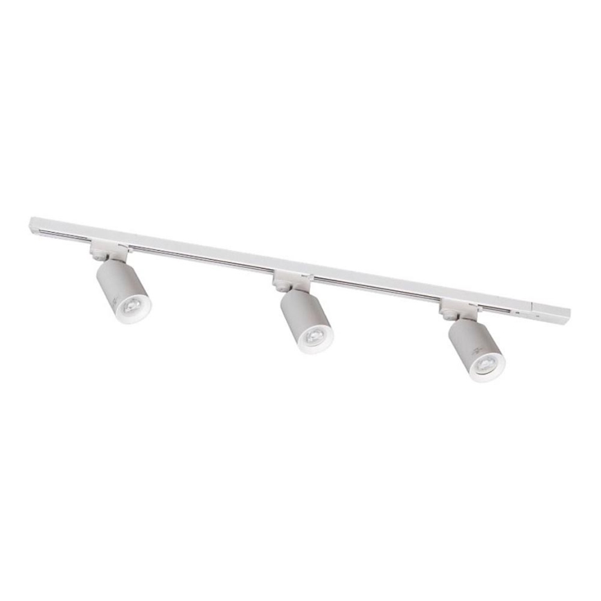 Zuma Line - liistusüsteemi punktvalgusti 3xGU10/35W/230V valge
