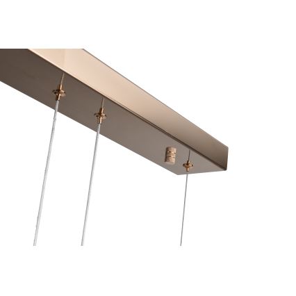 Zuma Line - LED-rippvalgusti trossil LED/36W/230V roosakuldne