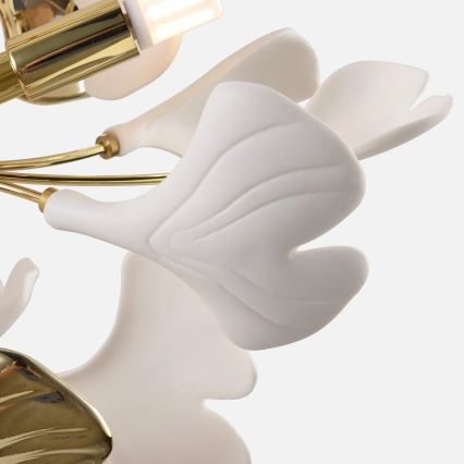 Zuma Line - pinnapealne lühter 6xG9/42W/230V, läbimõõt 70 cm, kuldne