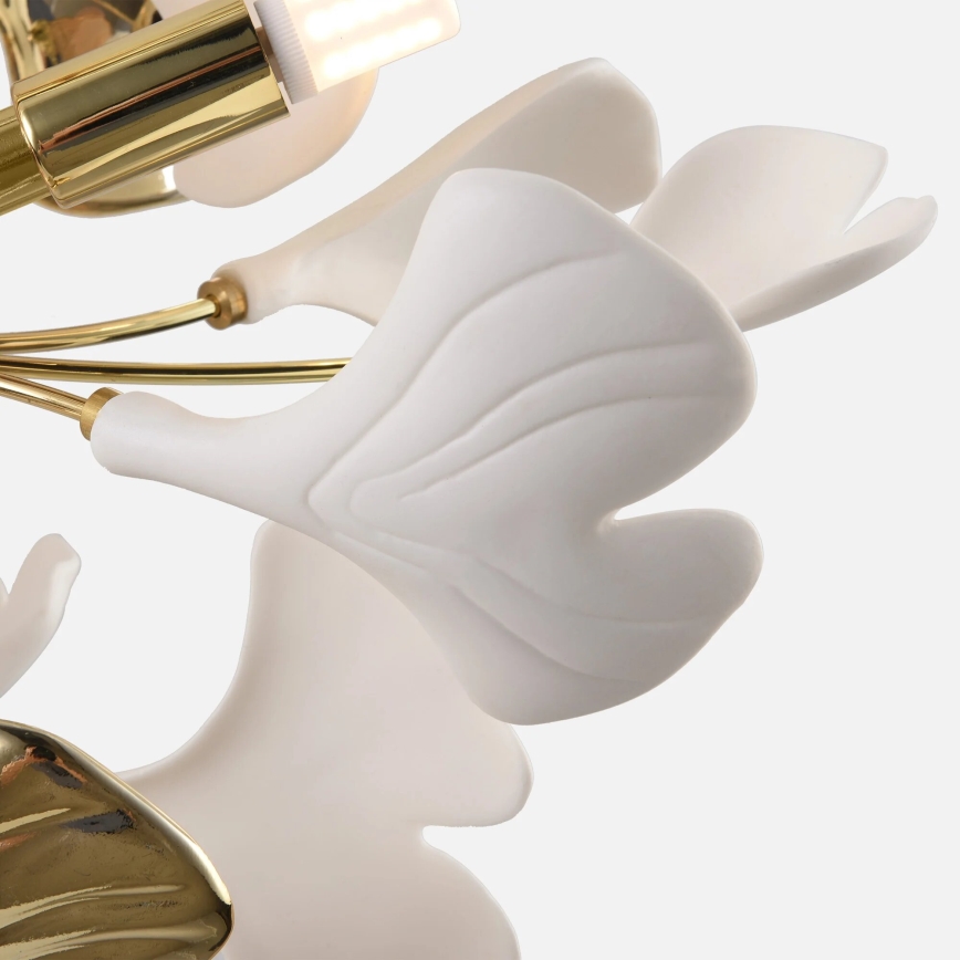 Zuma Line - pinnapealne lühter 6xG9/42W/230V, läbimõõt 70 cm, kuldne