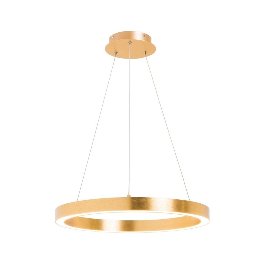 Zuma Line - LED Lühter 1xLED/30W/230V 40 cm kuldne