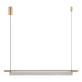 Zuma Line - rippvalgusti kaablil LED/14W/230V kuldne