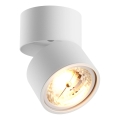 Zuma Line - suunavalgusti 1xGU10-ES111/15W/230V valge