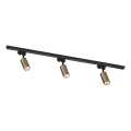 Zuma Line - TUBE süsteemi liistu valguspunt 3xGU10/35W/230V musta/kuldne